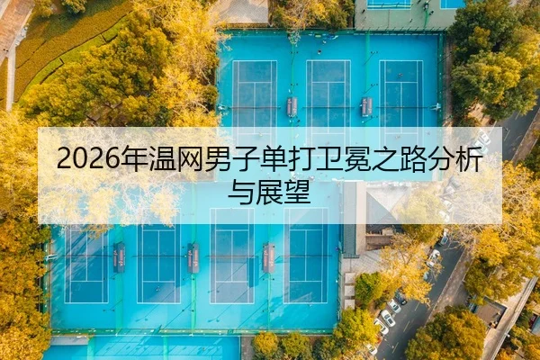 nian-wen-wang-nan-zi-dan-da-wei-mian-zhi-lu-fen-xi-yu-zhan-wang-2-383.jpg