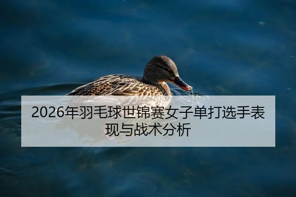 2026年羽毛球世锦赛女子单打选手表现与战术分析