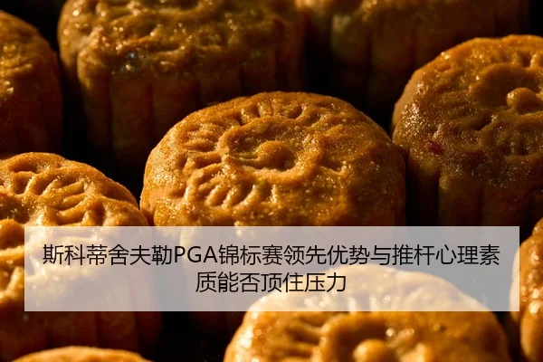 si-ke-di-she-fu-lei-jin-biao-sai-ling-xian-you-shi-yu-tui-gan-xin-li-su-zhi-neng-fou-ding-zhu-ya-li-2-569.jpg