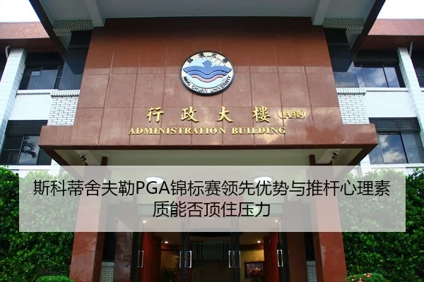 si-ke-di-she-fu-lei-jin-biao-sai-ling-xian-you-shi-yu-tui-gan-xin-li-su-zhi-neng-fou-ding-zhu-ya-li-3-788.jpg