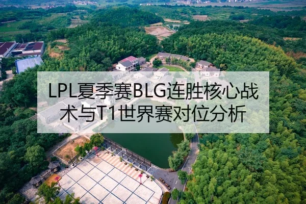 LPL夏季赛BLG连胜核心战术与T1世界赛对位分析