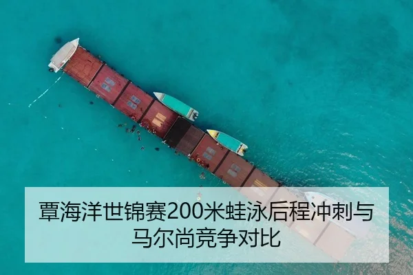 覃海洋世锦赛200米蛙泳后程冲刺与马尔尚竞争对比