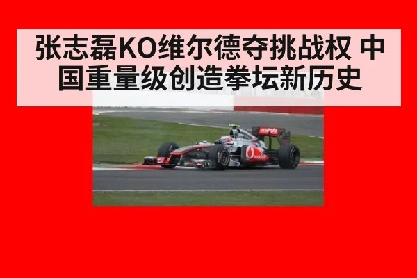 张志磊KO维尔德夺挑战权 中国重量级创造拳坛新历史